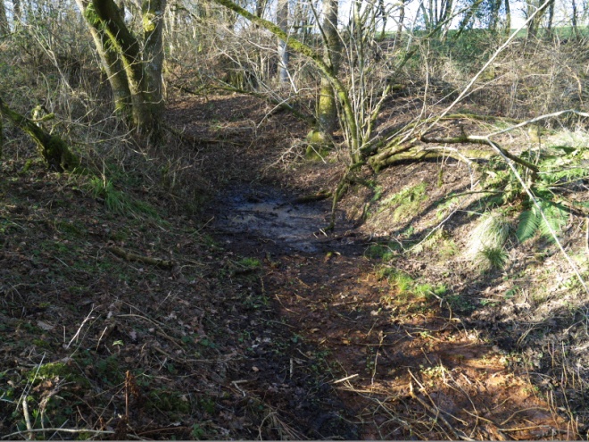 Ditch leading from the large hollow, with red staining possibly from Iron deposits